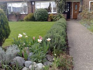 Photo 7- click for photo gallery